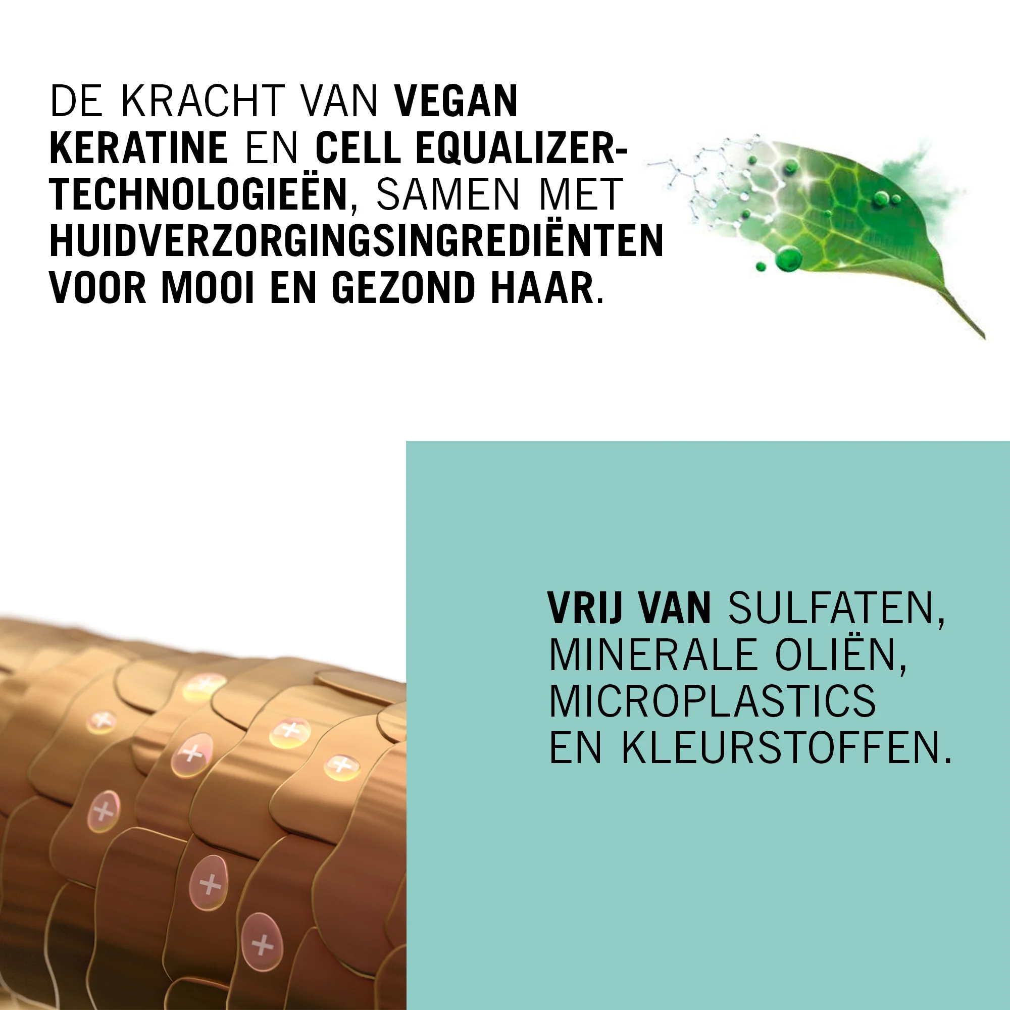 Productafbeelding 9