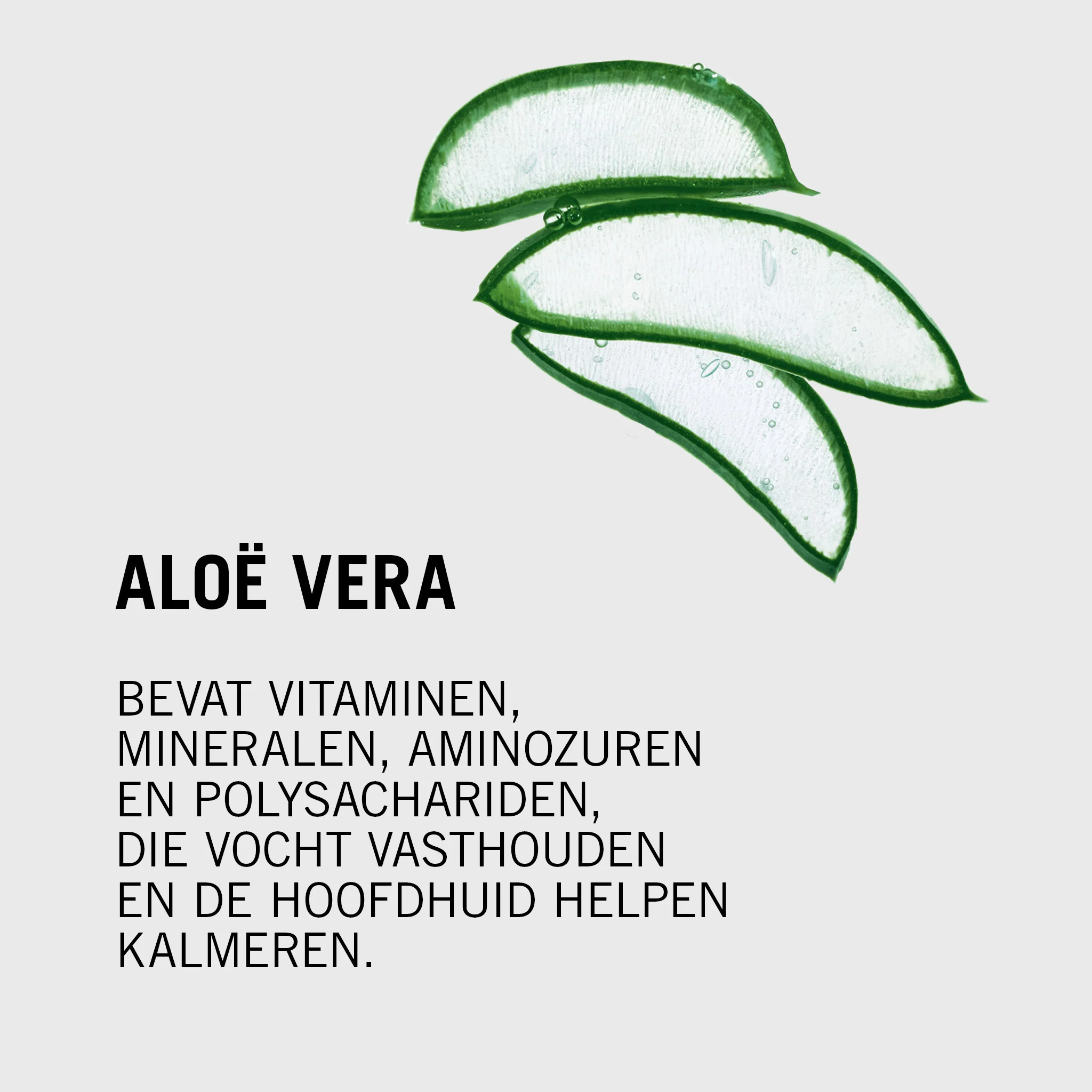 Productafbeelding 6